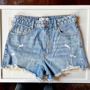 Zara Medium Wash High Rise Denim Shorts (28 / US 6)